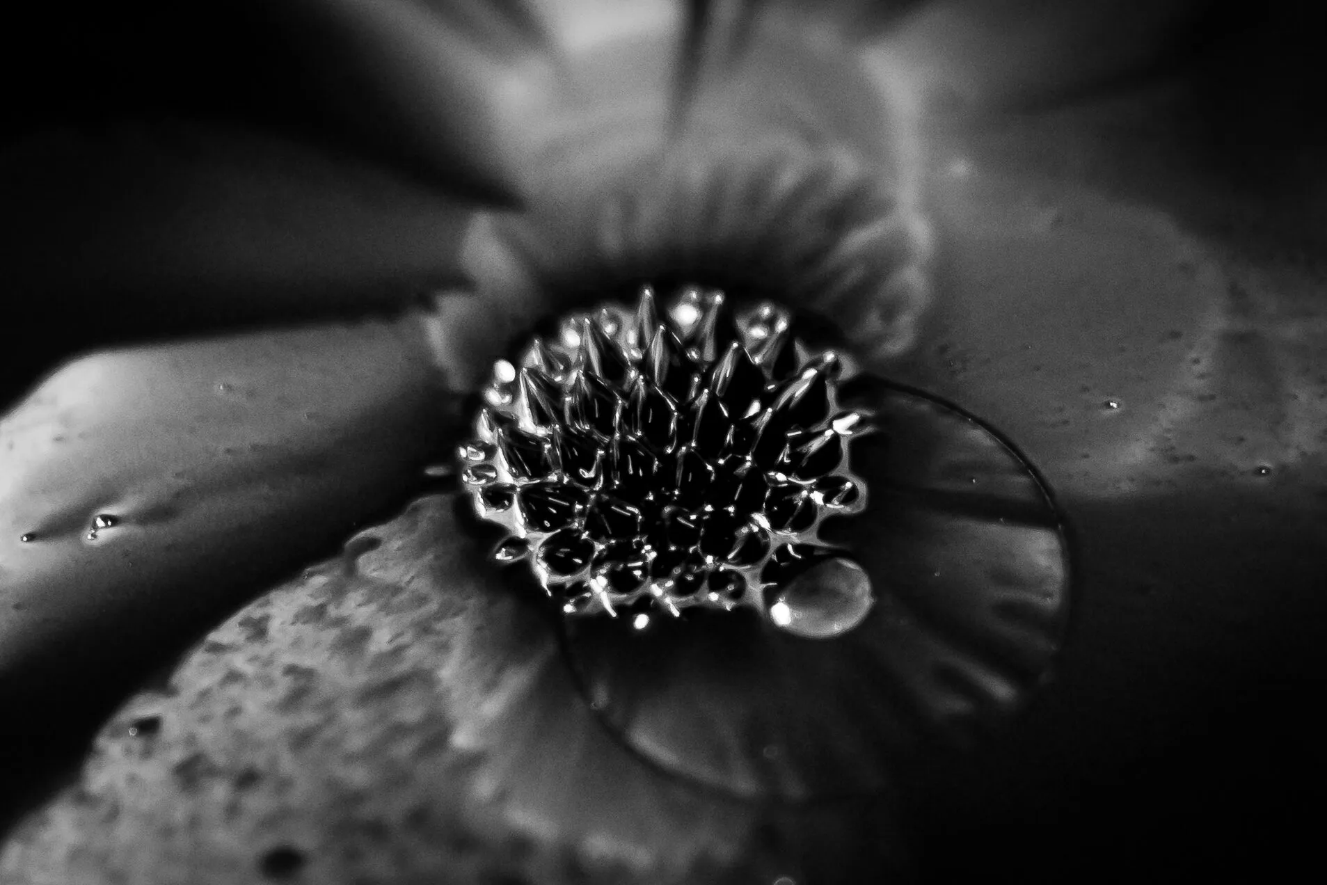 TeamSecond HanwenZhao