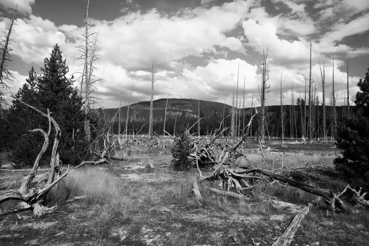 C45b49dfa553f822bac47cbc87bb82