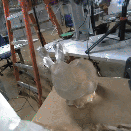 FusionSense: Bridging Common Sense, Vision, and Touch for Robust Sparse-View Reconstruction teaser